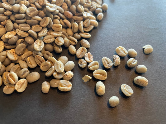 2024-2025収穫のコーヒー (1杯分/10g)